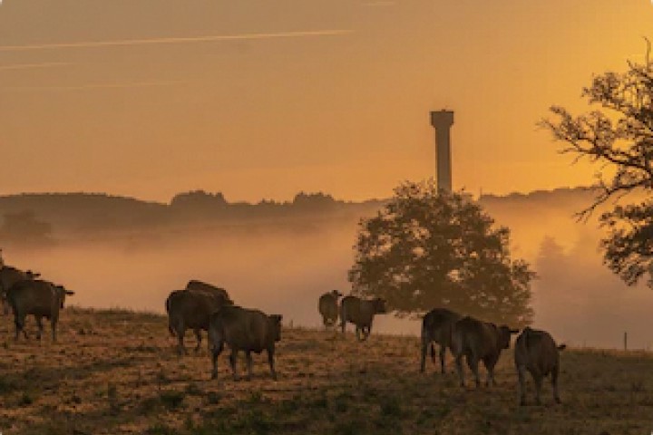 But I must explain to you how all this mistaken idea of denouncing pleasure